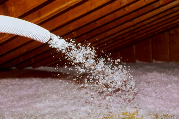 Types of Insulation We Offer in Wellington, FL