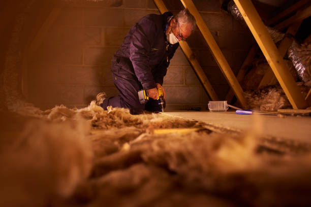 Best Blown-in Insulation in Wellington, FL