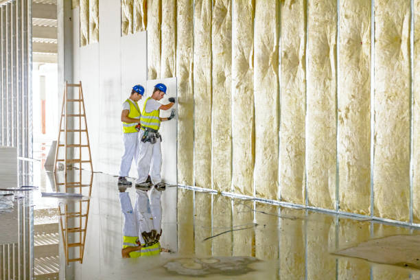 Best Specialized Insulation Services in Wellington, FL
